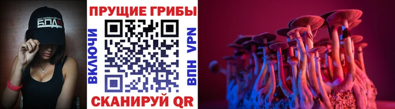 Псилоцибиновые грибы ЛСД Будённовск